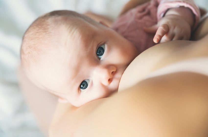 Aleitamento materno pode salvar até 13% das vidas infantis no mundo